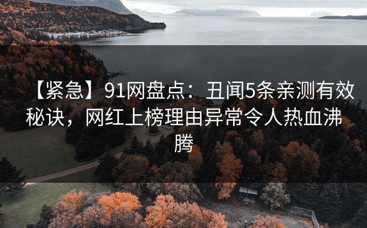 【紧急】91网盘点：丑闻5条亲测有效秘诀，网红上榜理由异常令人热血沸腾