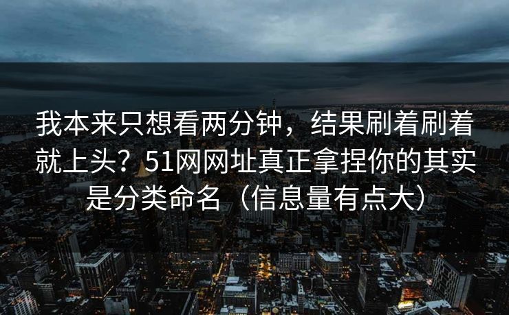 我本来只想看两分钟,结果刷着刷着就上头?51网网址真正拿捏你的其实是分类命名(信息量有点大) 我本来只想看两分钟,结果刷着刷着就上头?51网网址真正拿捏你的其实是分类命名(信息量有点大)
