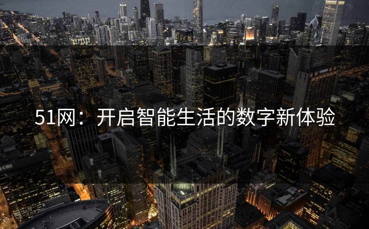 51网：开启智能生活的数字新体验